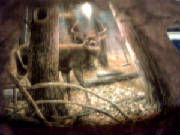 website008.jpg