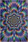 15-dp-new-op.jpg