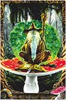 16-dp4076fmushroomwizard.jpg