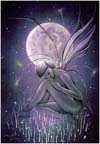 16-moon-petal-.jpg